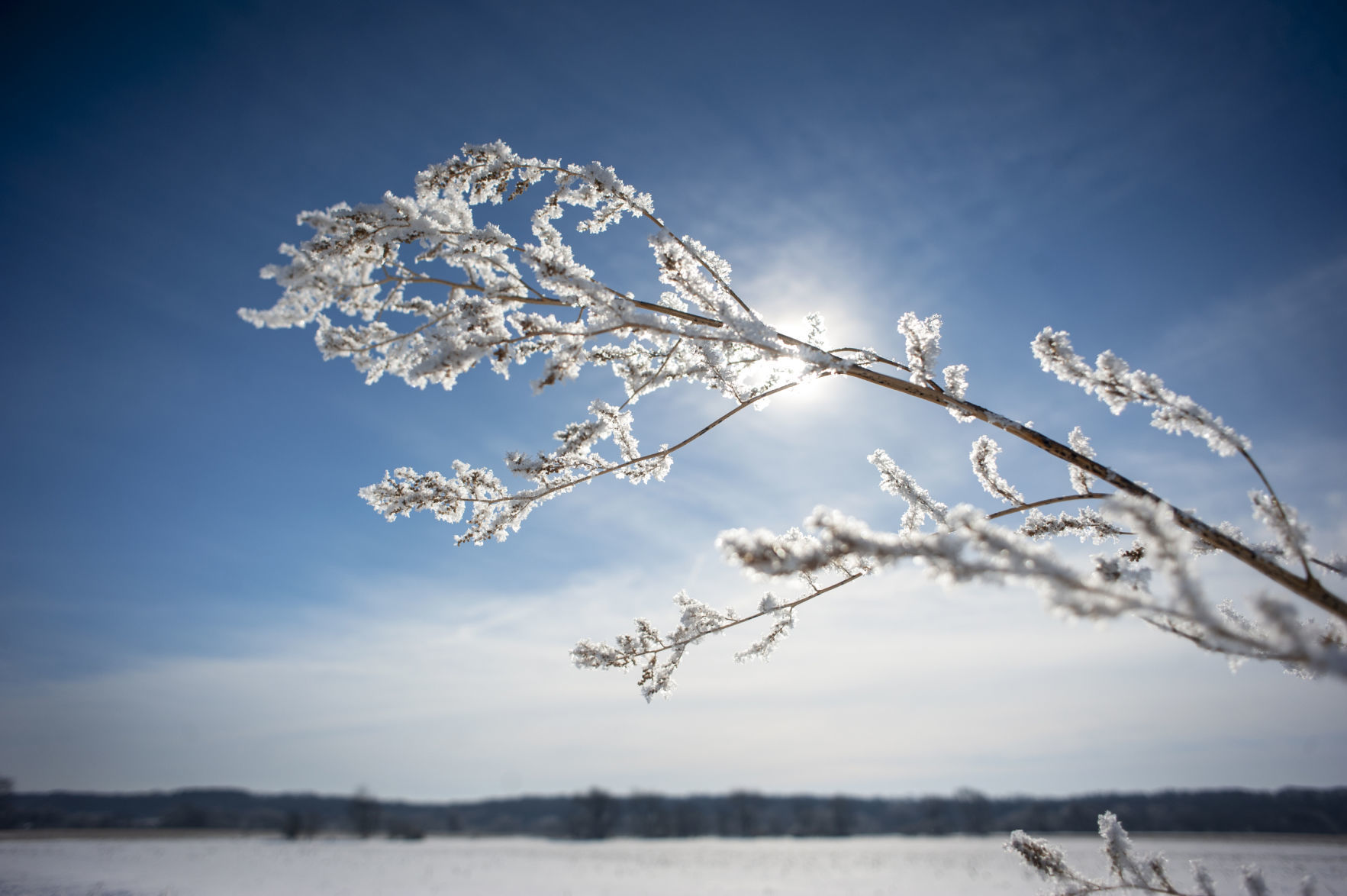 190220_FROST01